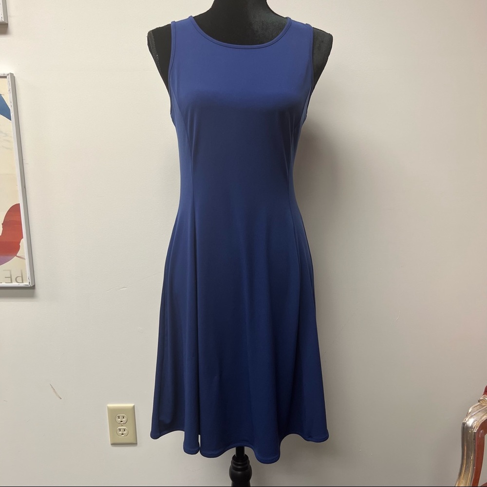 Banana Republic Royal Blue Dress